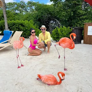  Apartment Bavaro Suites Pool Ducassi-sol Caribe